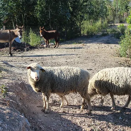 Monte Das Cercas *