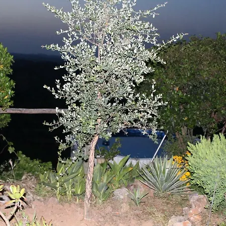 Monte Das Cercas